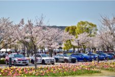 【高画質画像：MSJ】桜満開の週末、モータースポーツジャパン2019開幕　F1やWECの展示、WRCやD1走行も