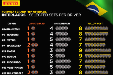 F1ブラジルGPのタイヤ選択発表　ロズベルグ、チャンピオン獲得なるか