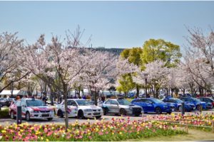 【高画質画像：MSJ】桜満開の週末、モータースポーツジャパン2019開幕　F1やWECの展示、WRCやD1走行も